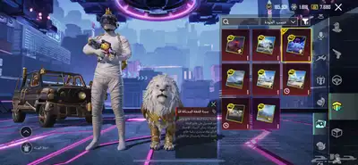 حساب ببجي نسخه عالمية لفل 79 0
