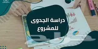 دراسات جدوي 0