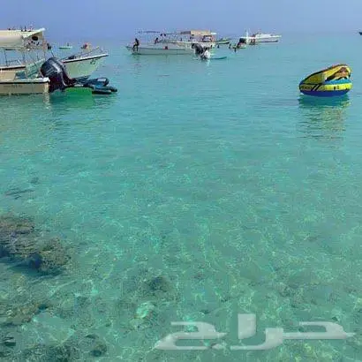 تاجير قوارب ويخوت رحلات بحريه ورحلات جزيره بياضه 8