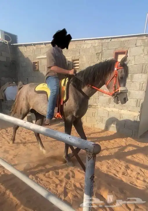 مهر شعبي 4