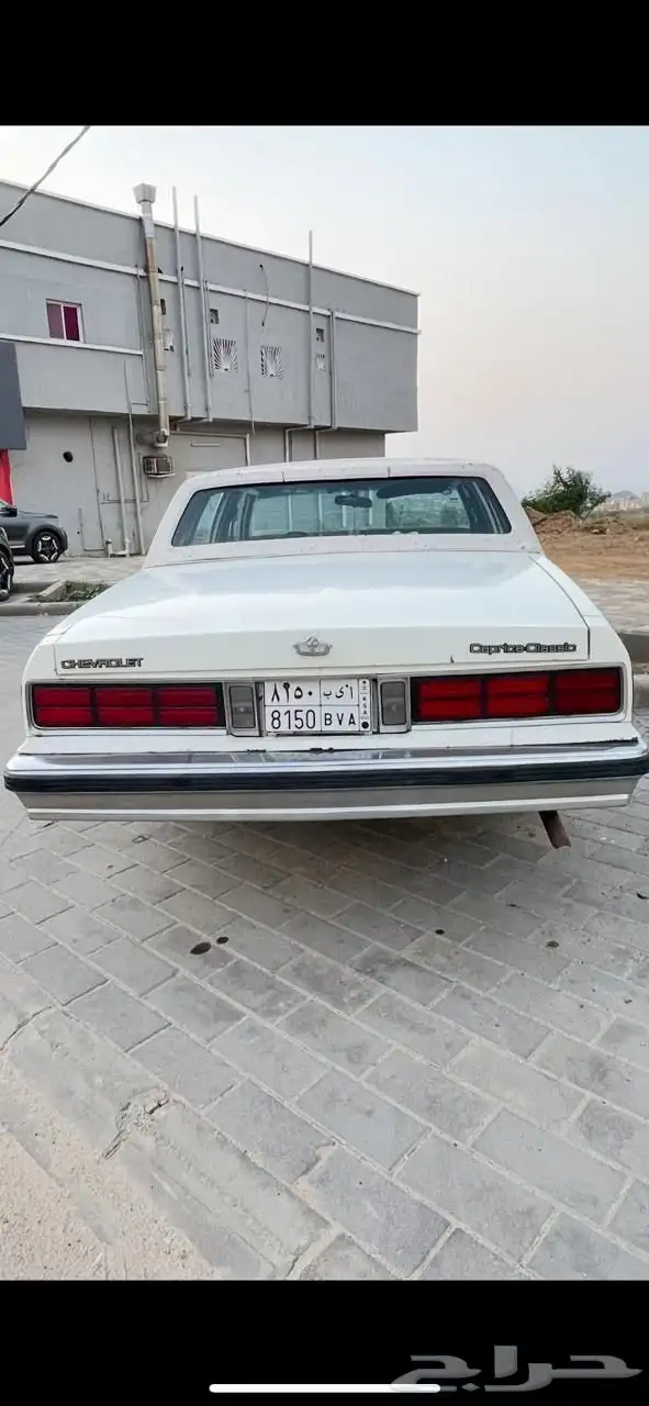 كابرس 1989 4