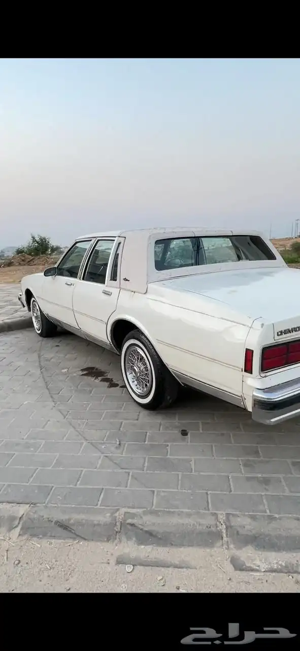 كابرس 1989 7