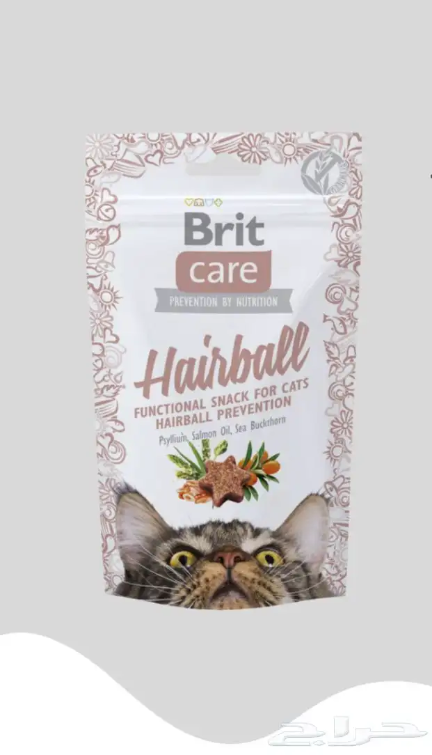 متجر Modi Birds مودي للحيوانات الاليفة 11