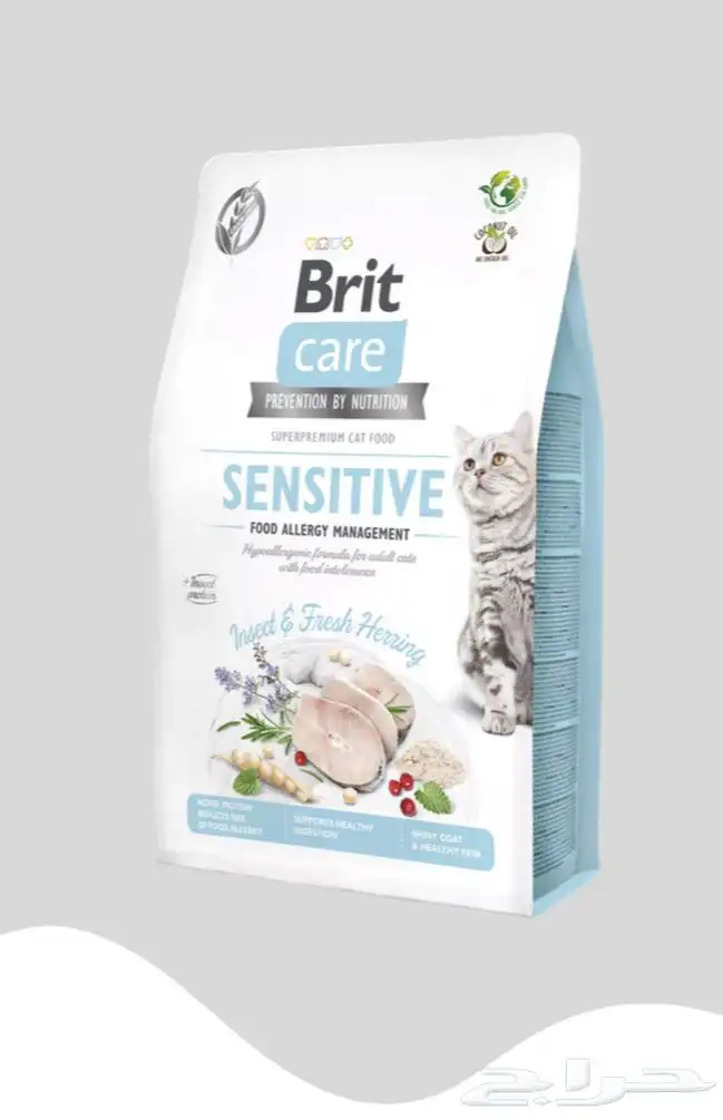 متجر Modi Birds مودي للحيوانات الاليفة 5