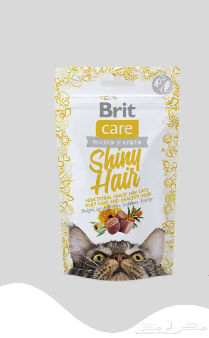 متجر Modi Birds مودي للحيوانات الاليفة 12