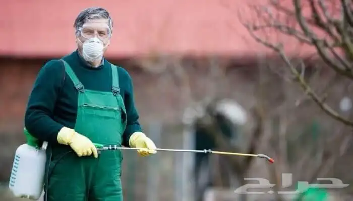 شركة تنظيف منازل وخزانات رش حشرات مكافحة جميع أنواع بمكة 4