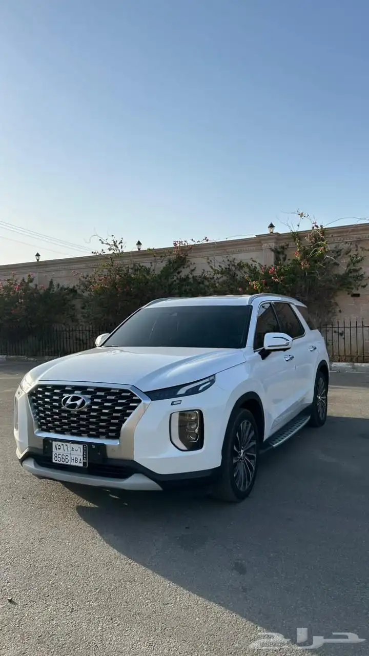 باليسيد 2021 وارد كوريا 0