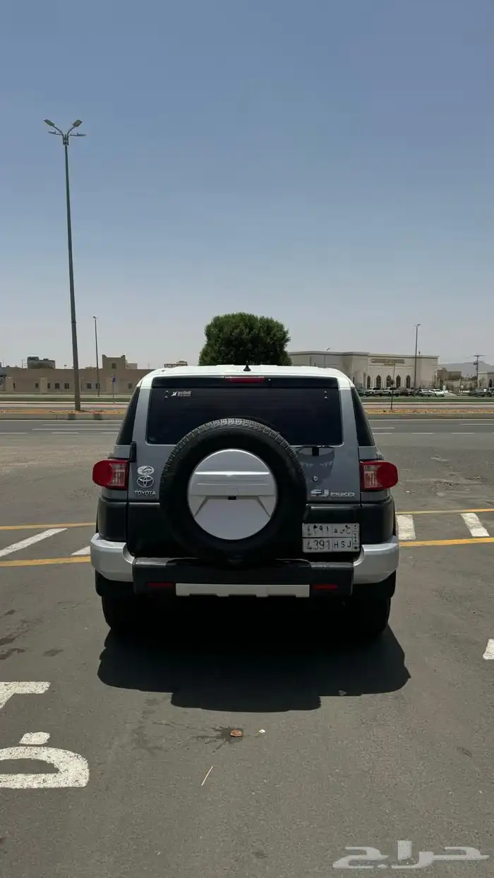 افجي 2014 5