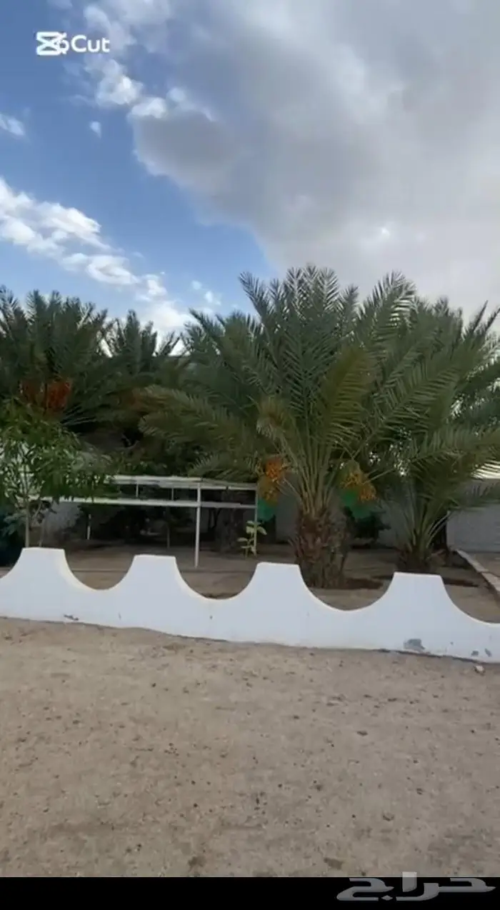 استراحة في العقيق 0