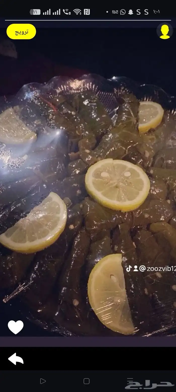 ورق عنب وطبخ ذبايح للطلب قبلها بيومين 0