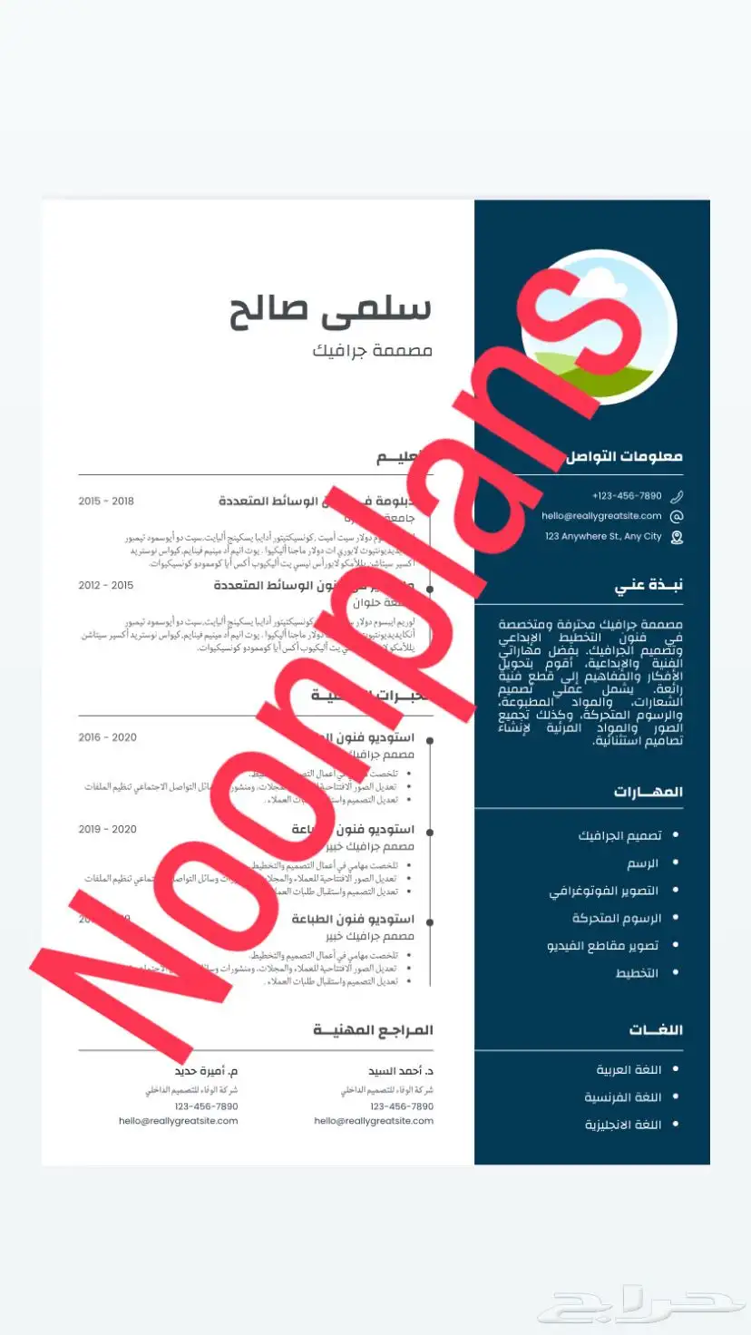 سيرة ذاتيه احترافيه مع اضافة الصوره الشخصيه باقل سعر 15ريال 0