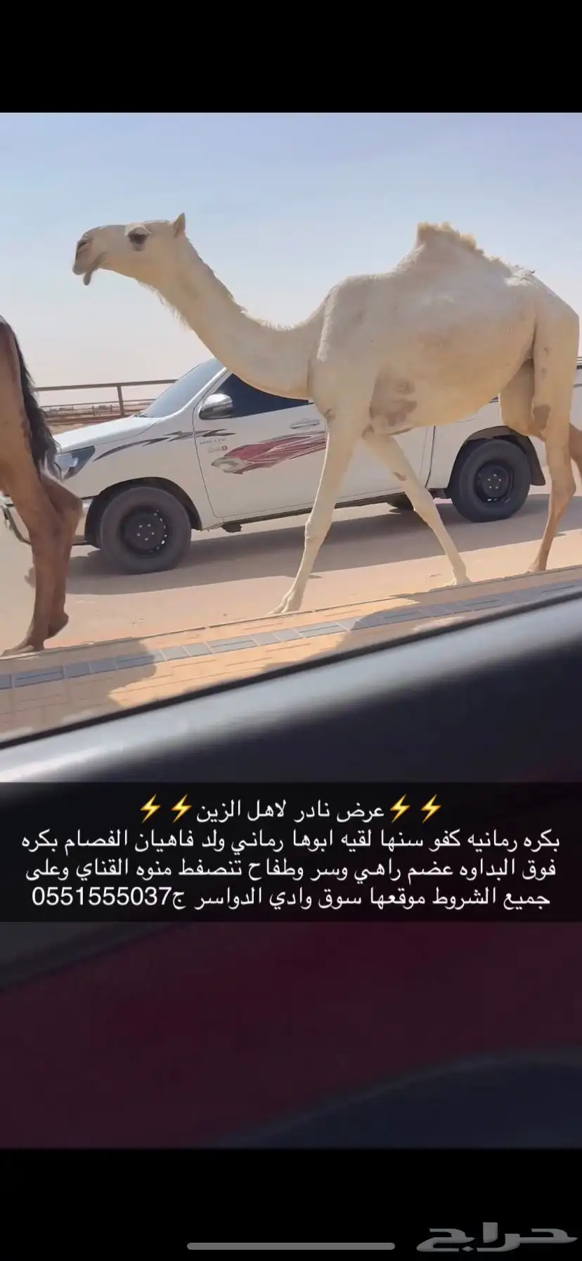 بكره لقيه كفو 3