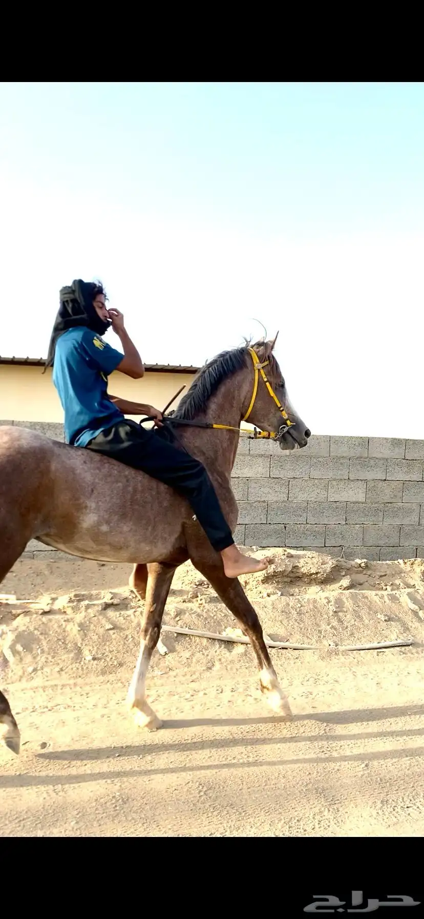 مهر شعبي كفو سبوق وحار 0