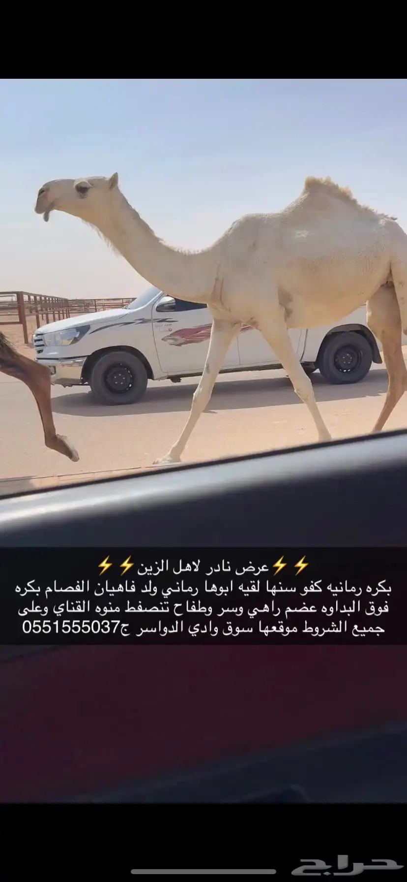 بكره لقيه كفو 0