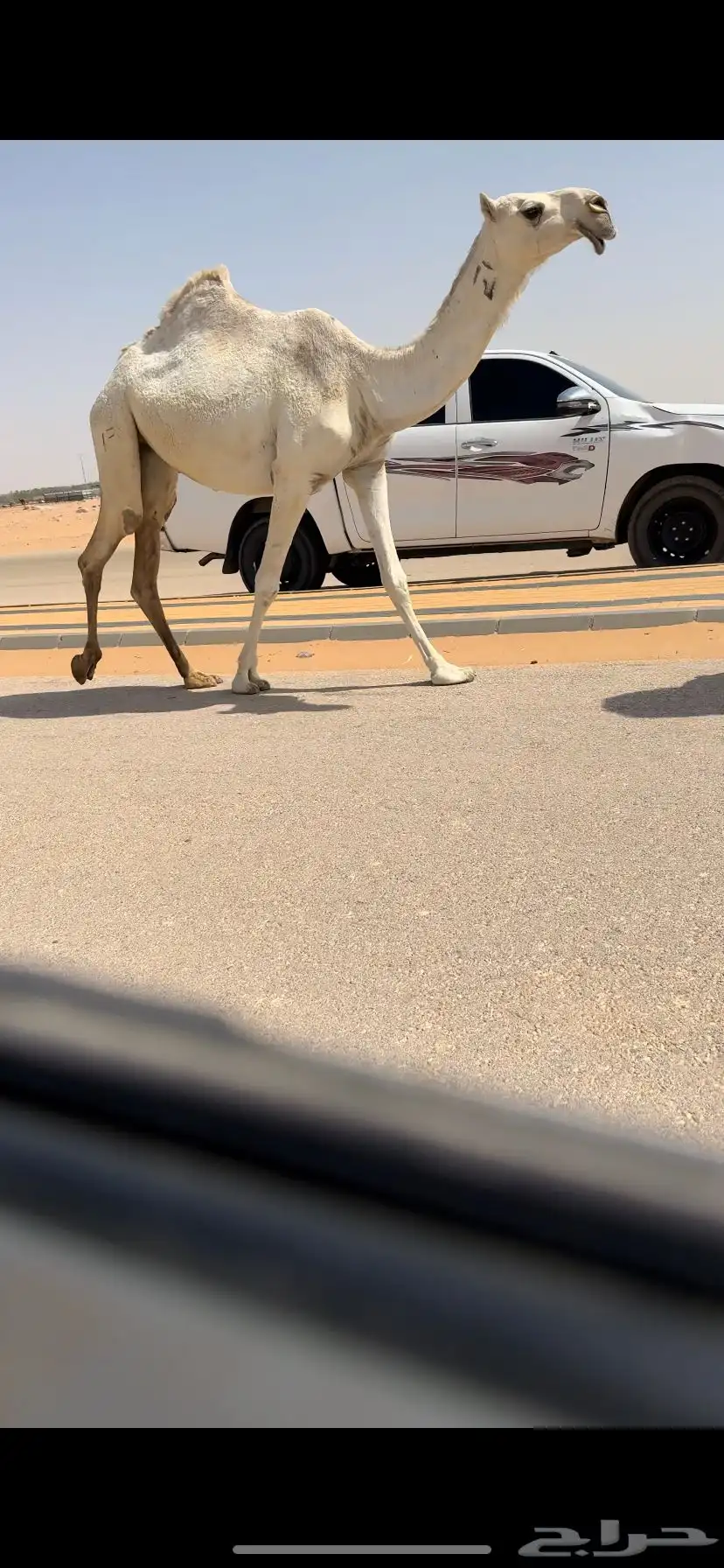 بكره لقيه كفو 5