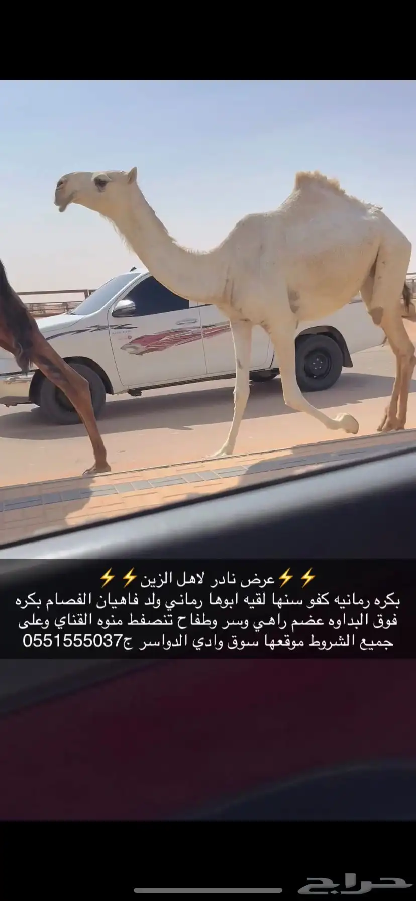 بكره لقيه كفو 2