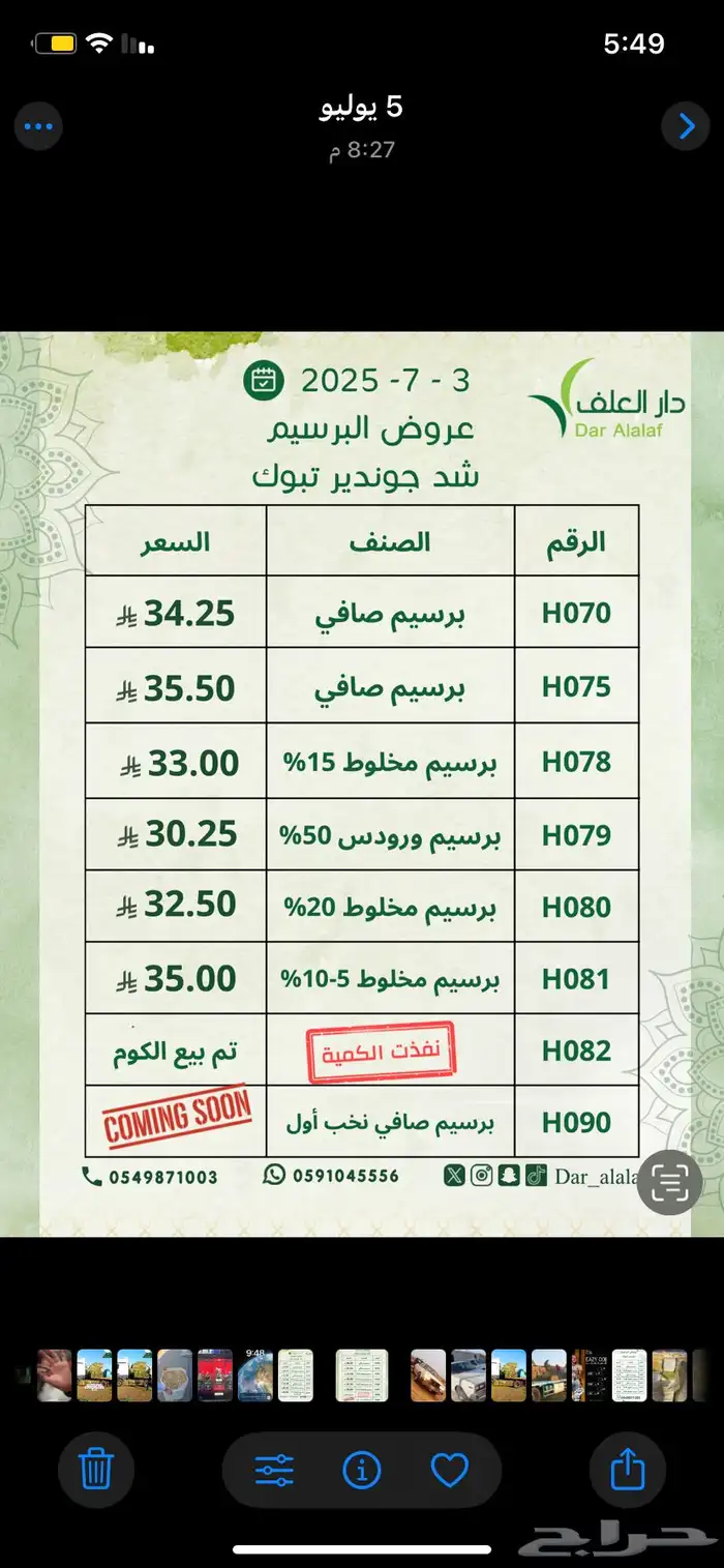 برسيم الراعي مستورد في تبوك 3