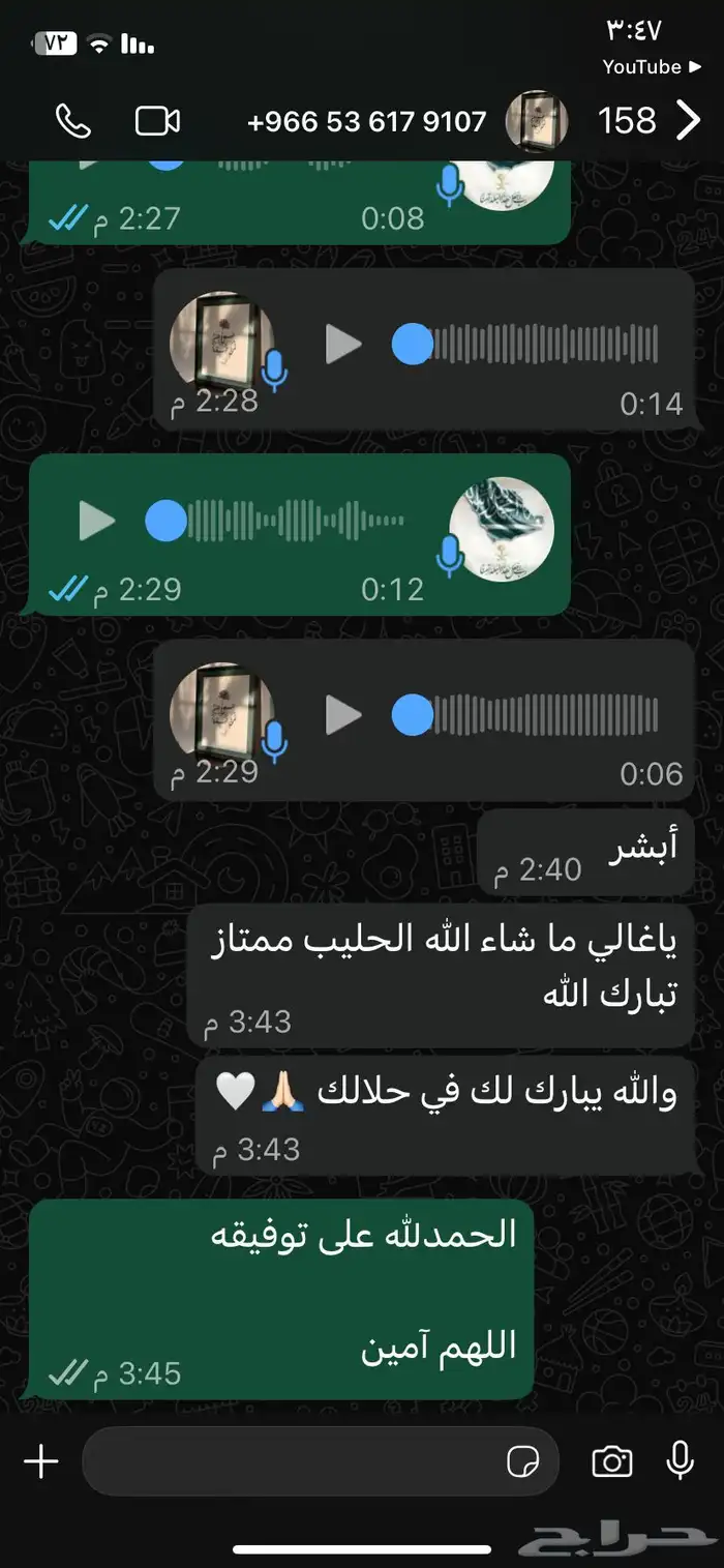 حليب نياق طازج 9
