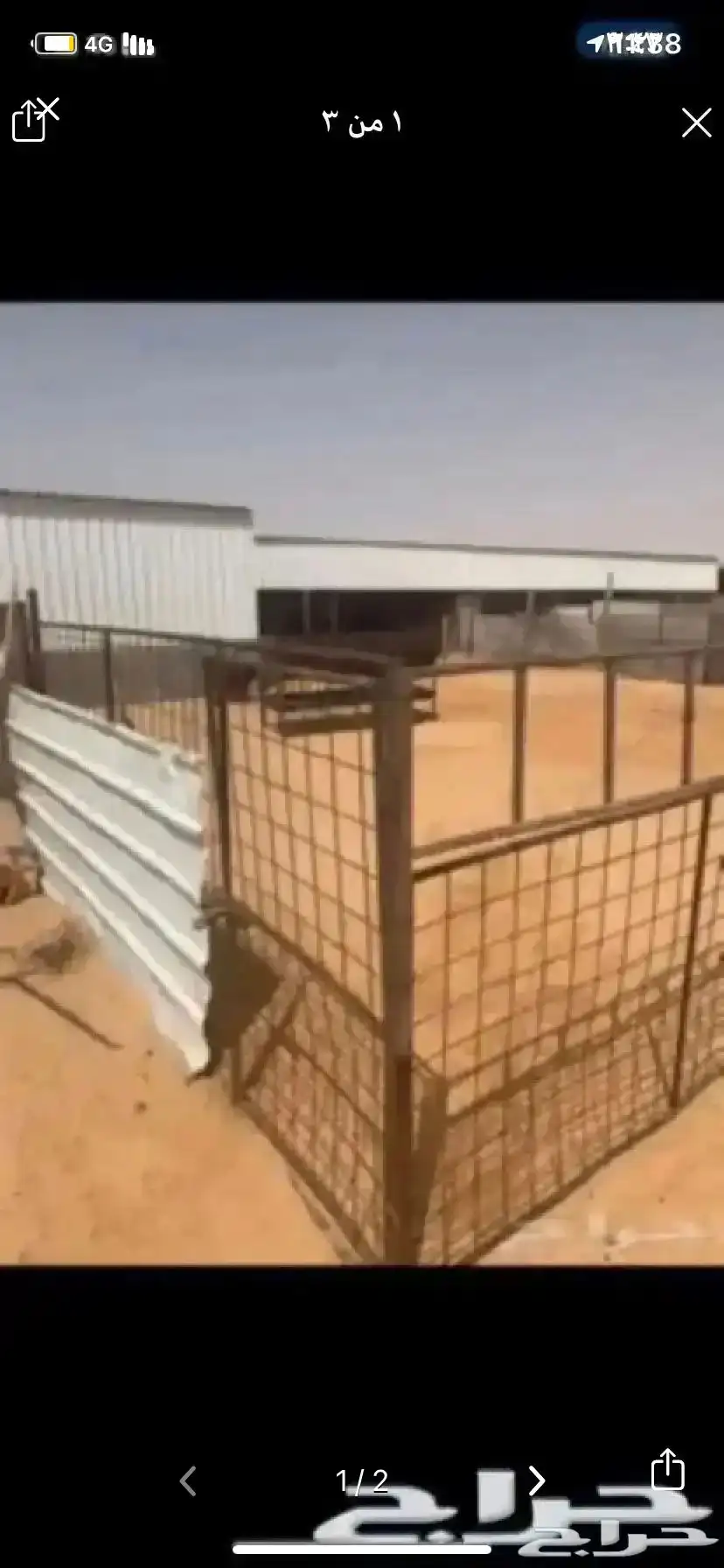 شبوك غنم للايجار مجهزه بعماله مختصه 1