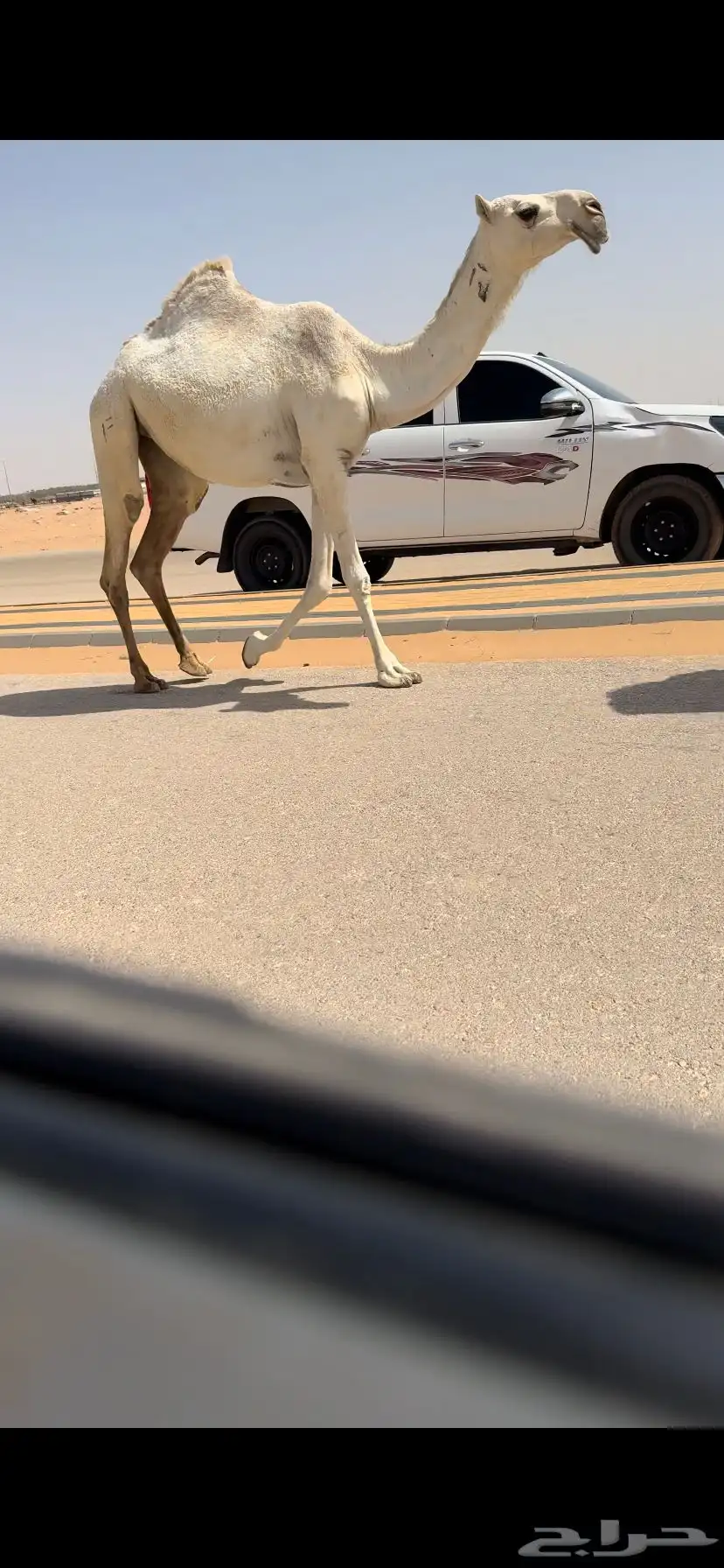 بكره لقيه كفو 4
