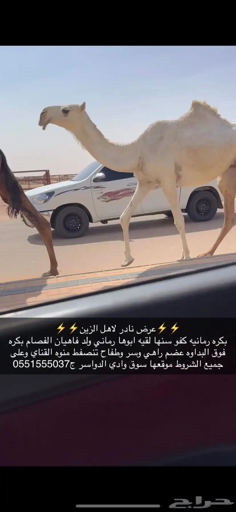 بكره لقيه كفو 1