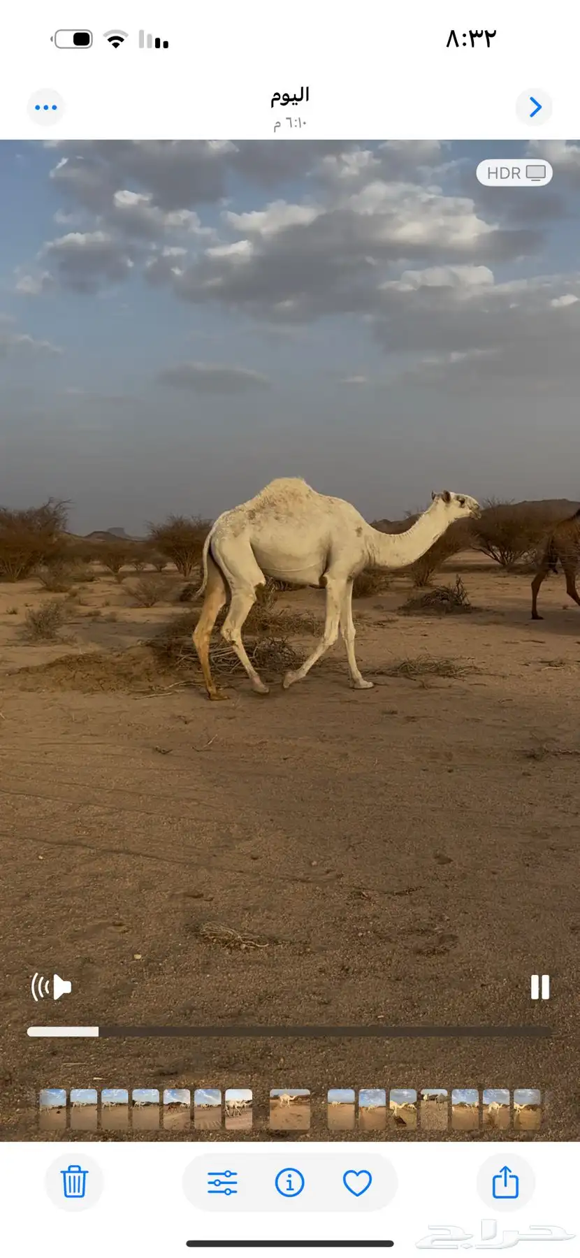 بكره وضحا عفرا باتليه لقيه للبيع جنوب بيشه 2