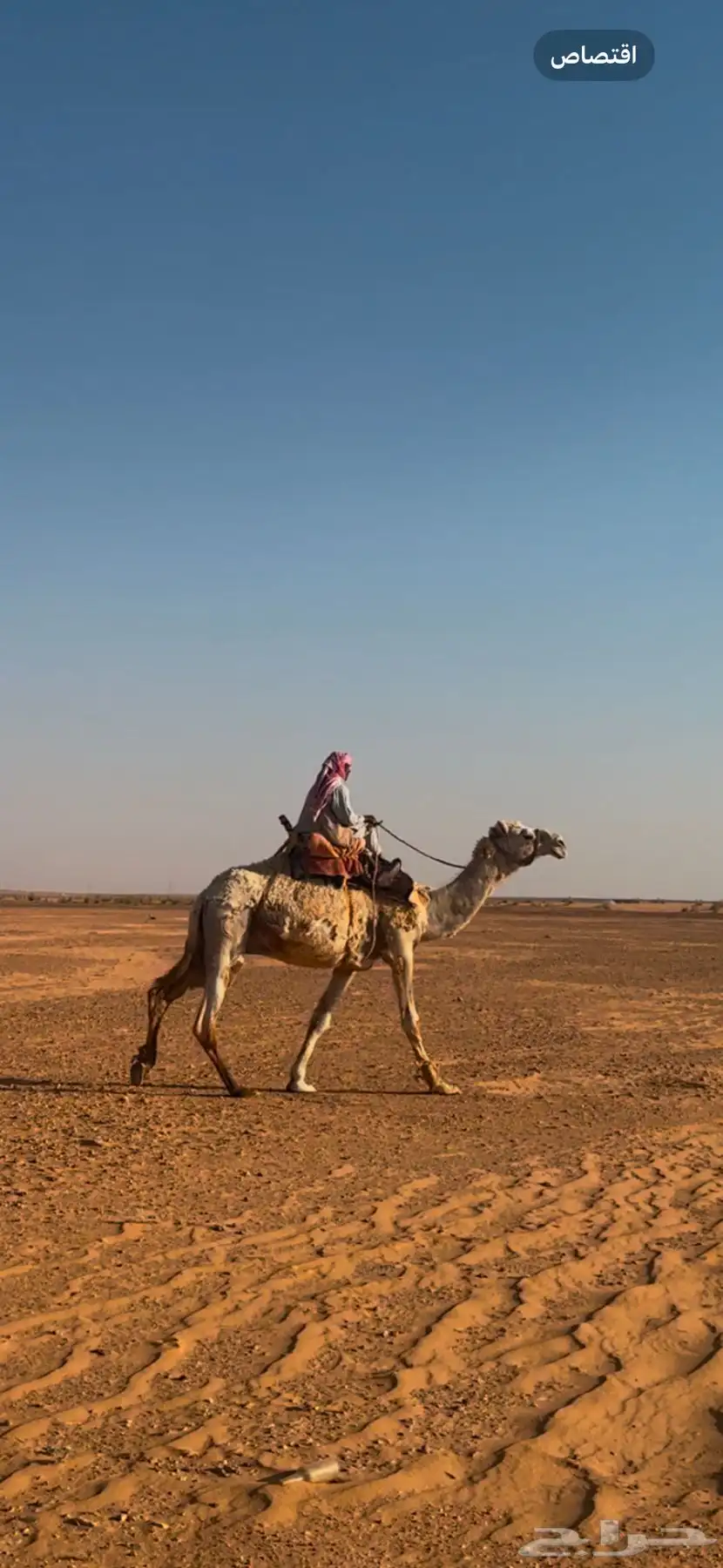 رحول اوضح 0