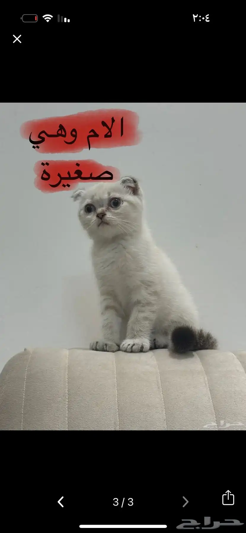 سكوتش تربل فولد 8