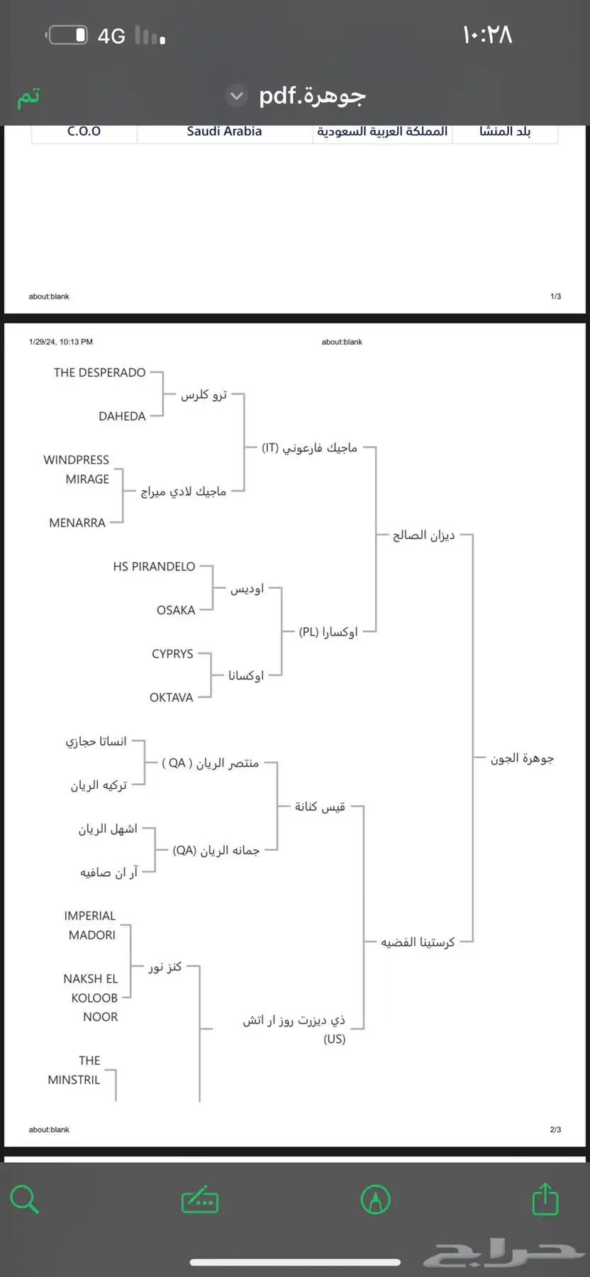 فرس واهو 3