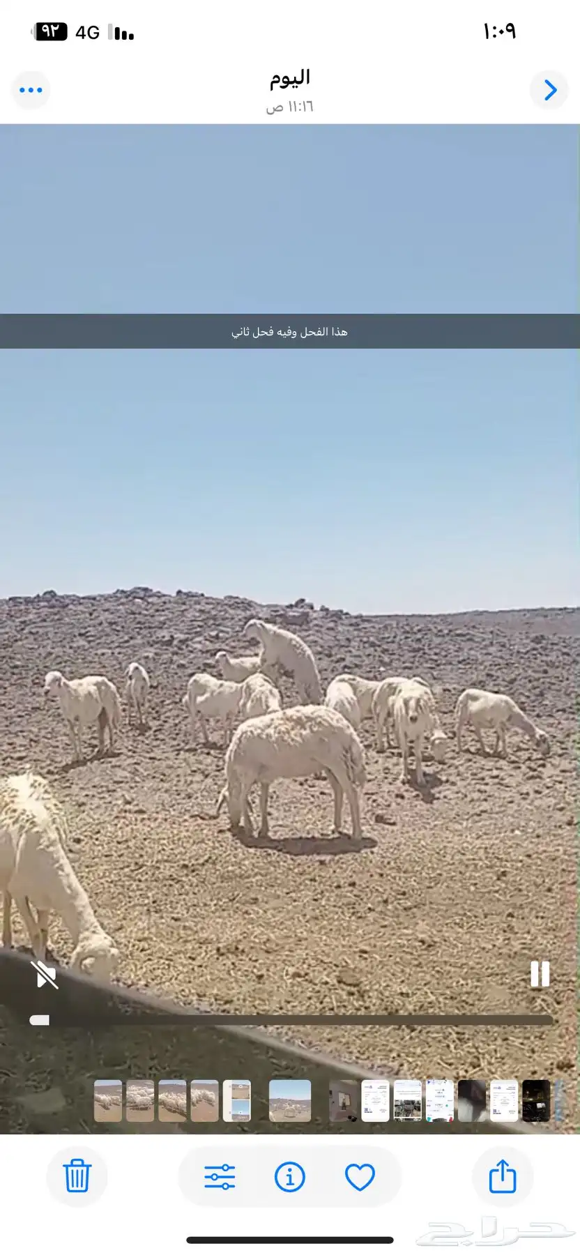 حري حرش 1