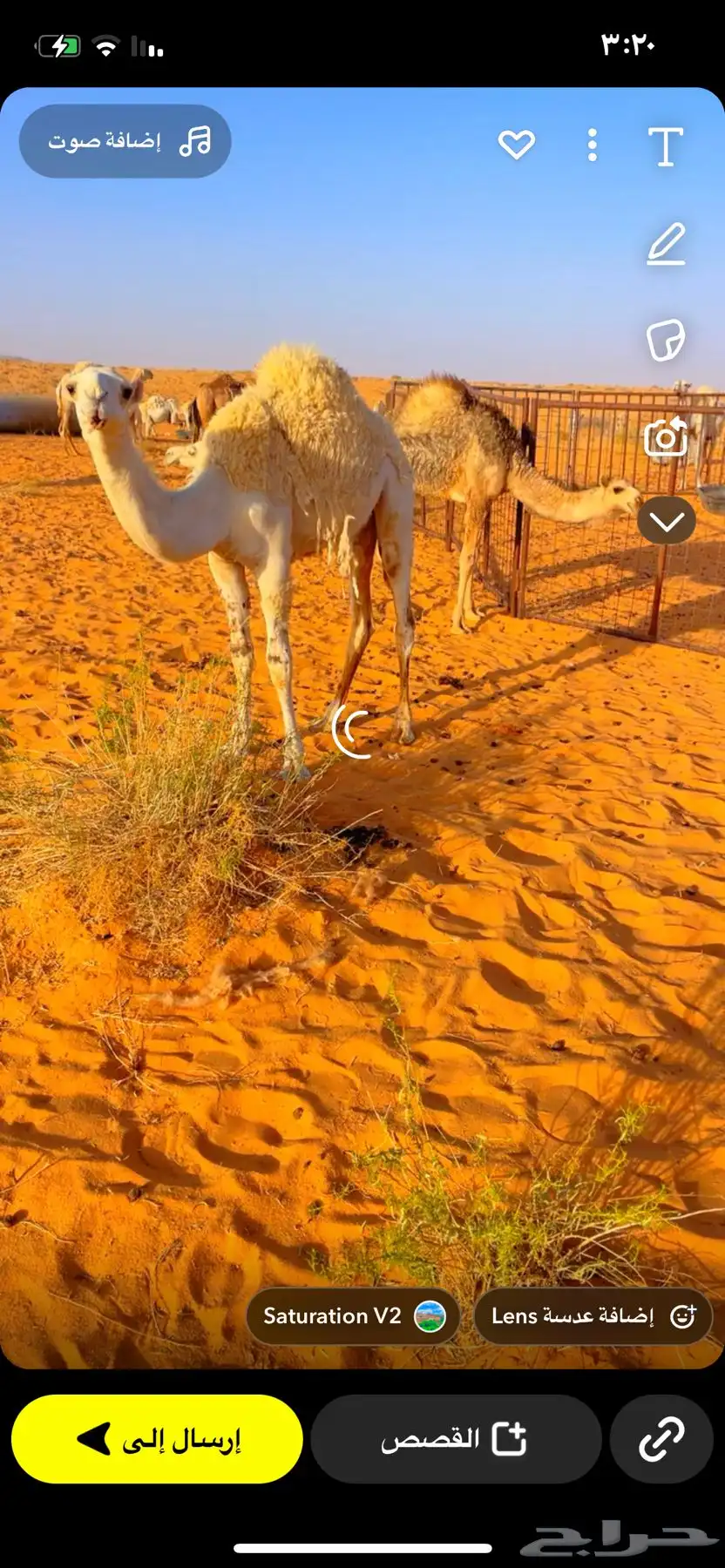 حشو طيبات على حليب أمهاتهن 3