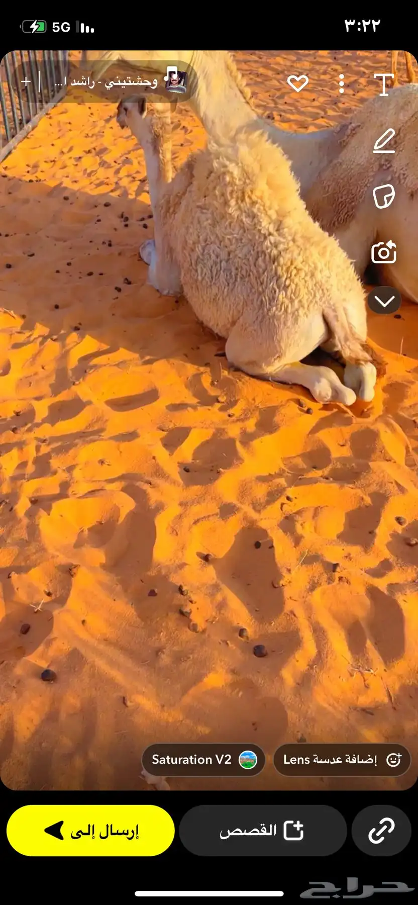 حشو طيبات على حليب أمهاتهن 2