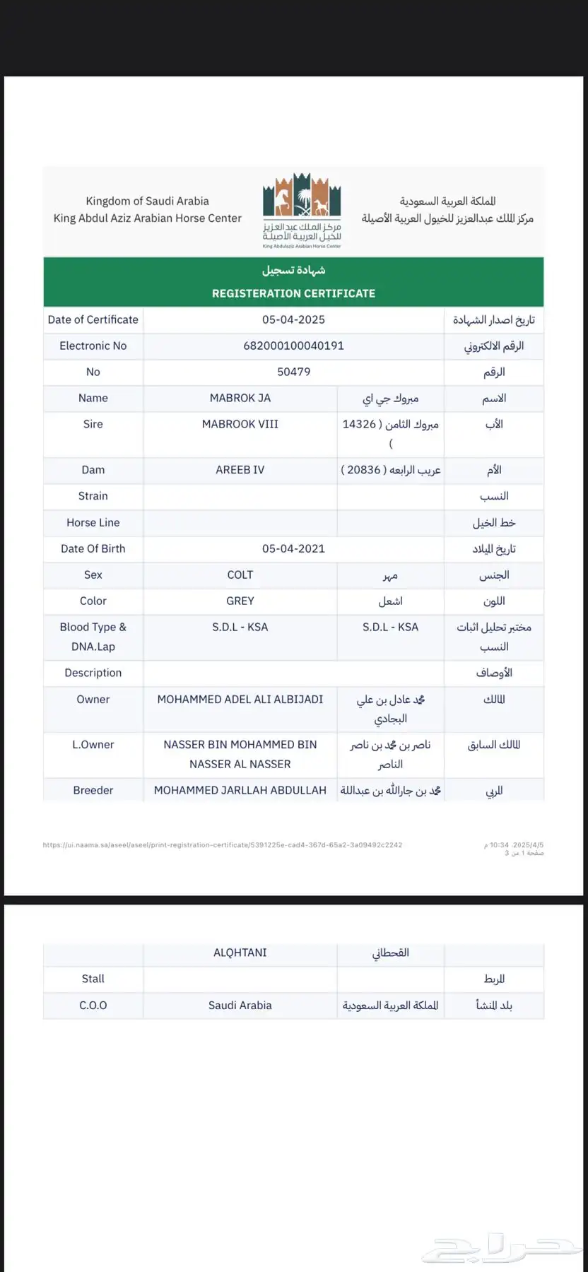 حصان واهو فاخر للبيع 0