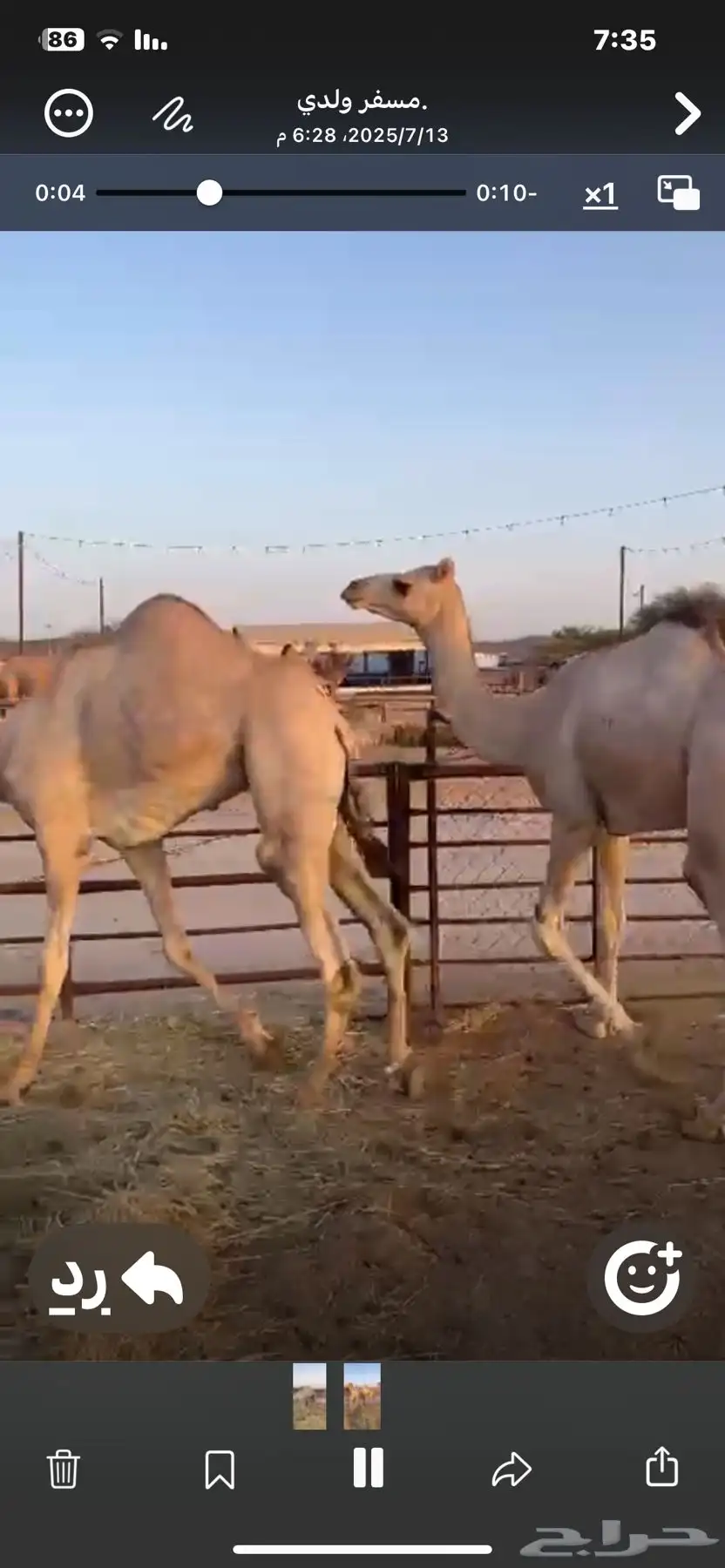 قعودين للبيع الموقع خميس مشيط 1