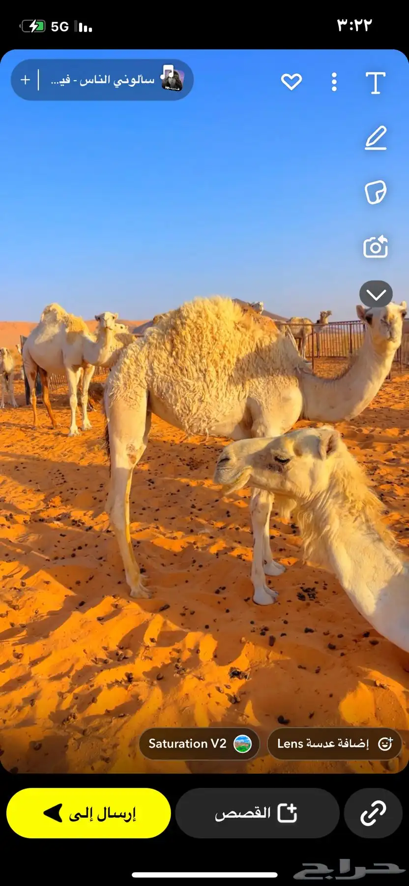 حشو طيبات على حليب أمهاتهن 4