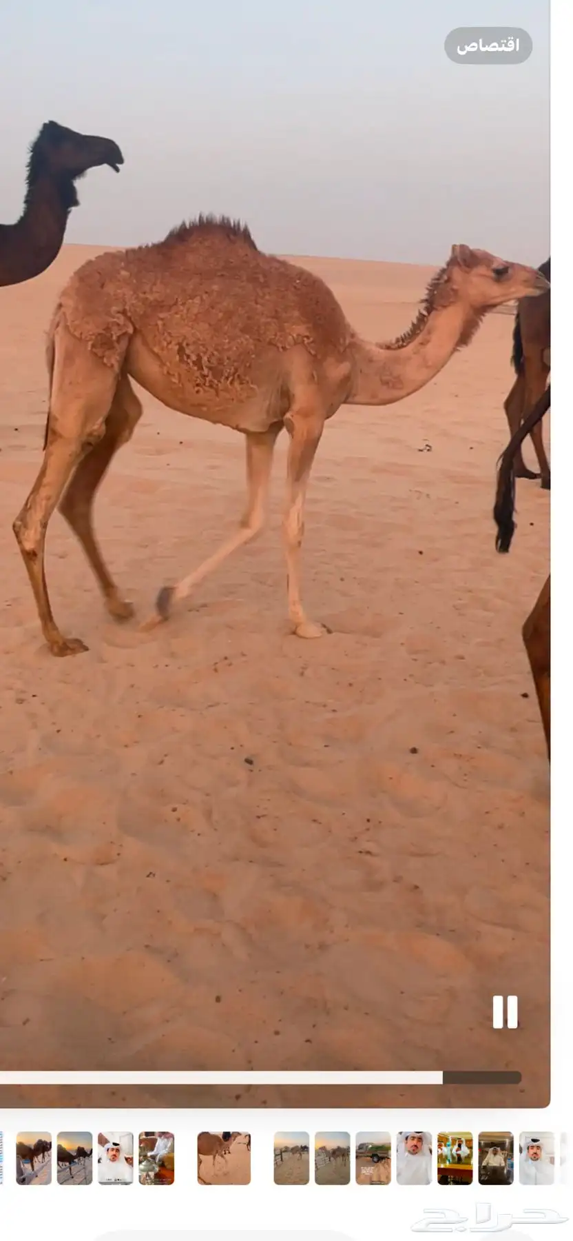 مفروده تحقق 0
