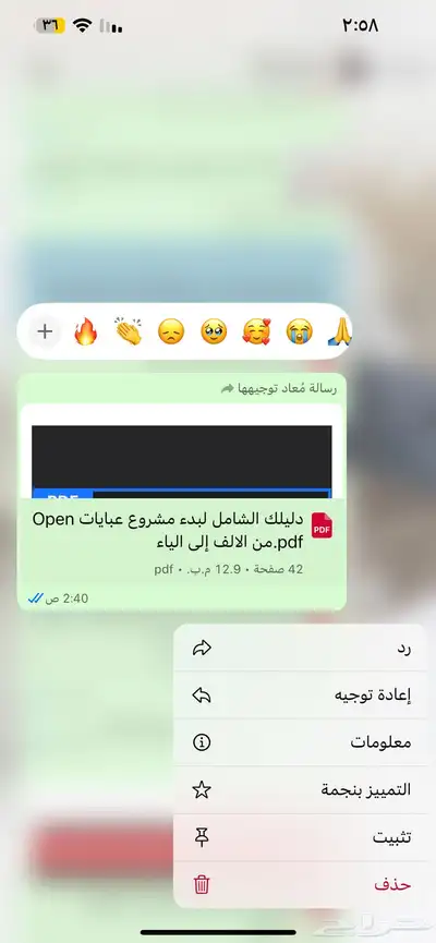 منتجات رقميه مربحه 46