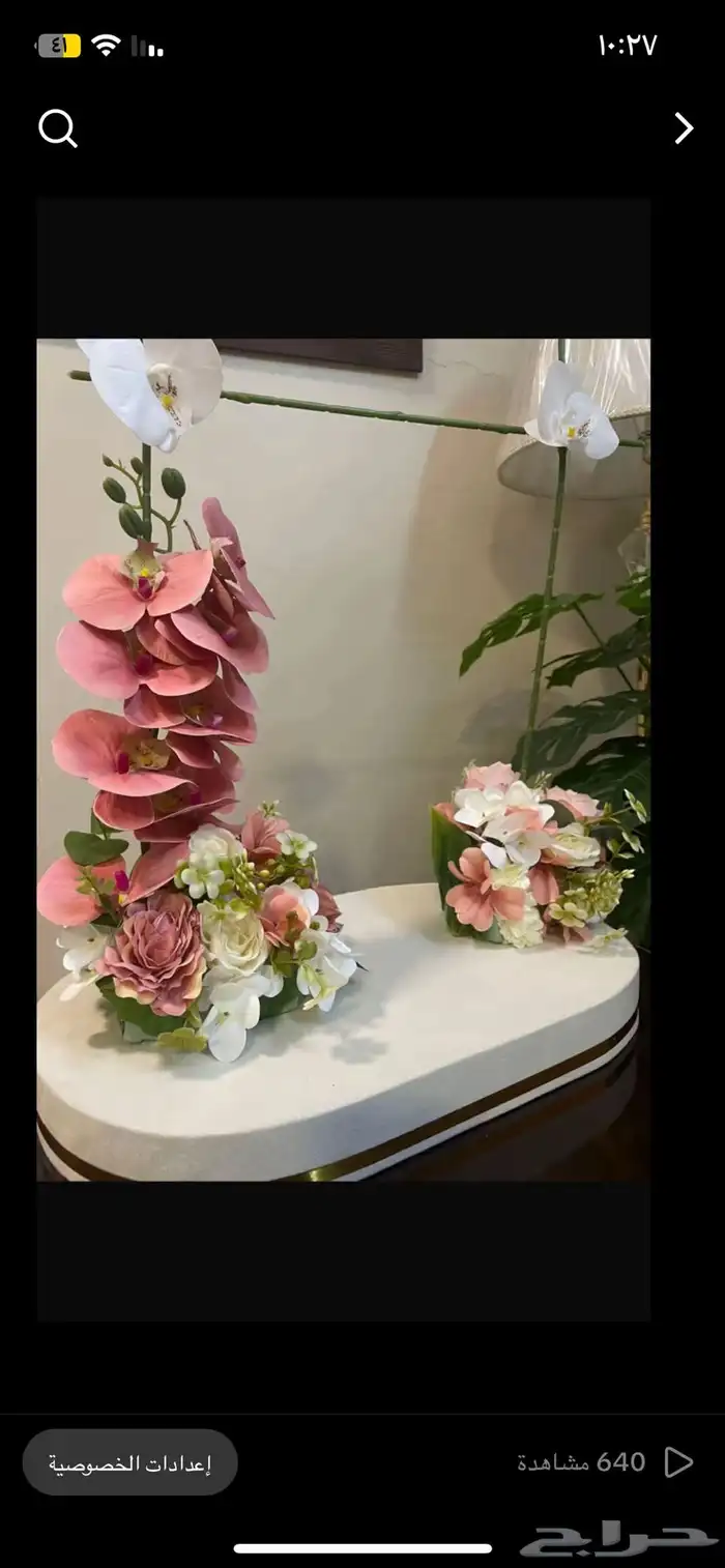 هدايا مواليد 22