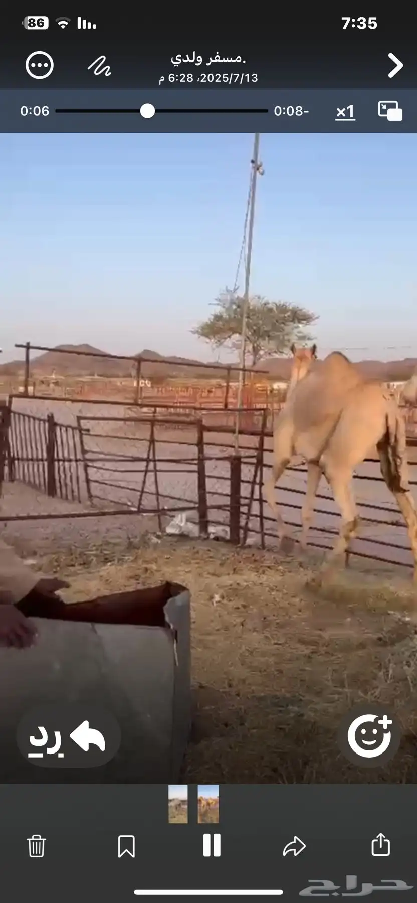 قعودين للبيع الموقع خميس مشيط 4