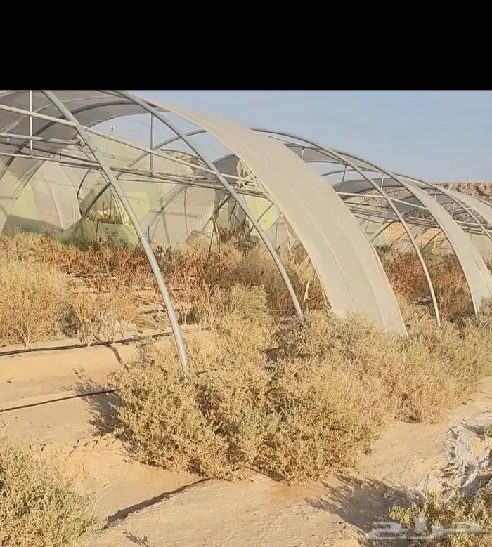بيوت محميه مجلفنه نظيفه 0