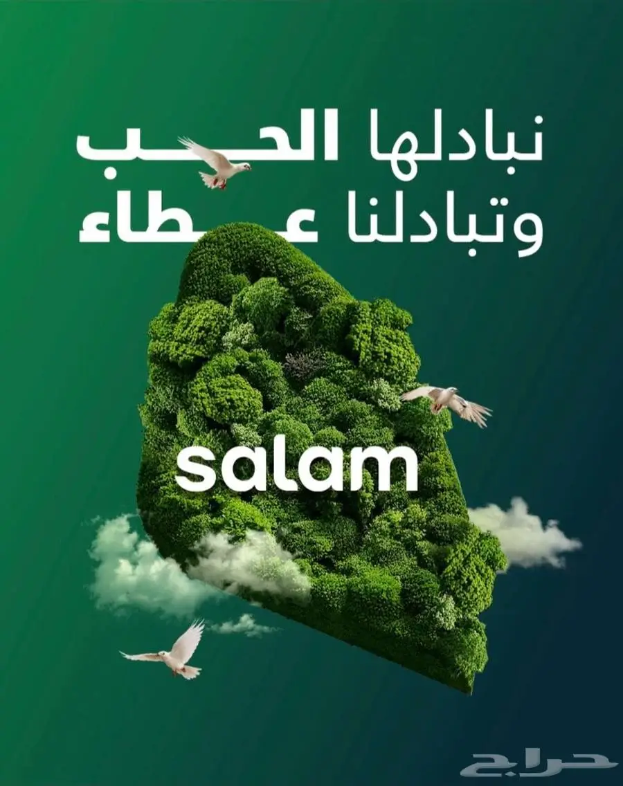 مندوب ألياف بصرية سلام فايبر 3