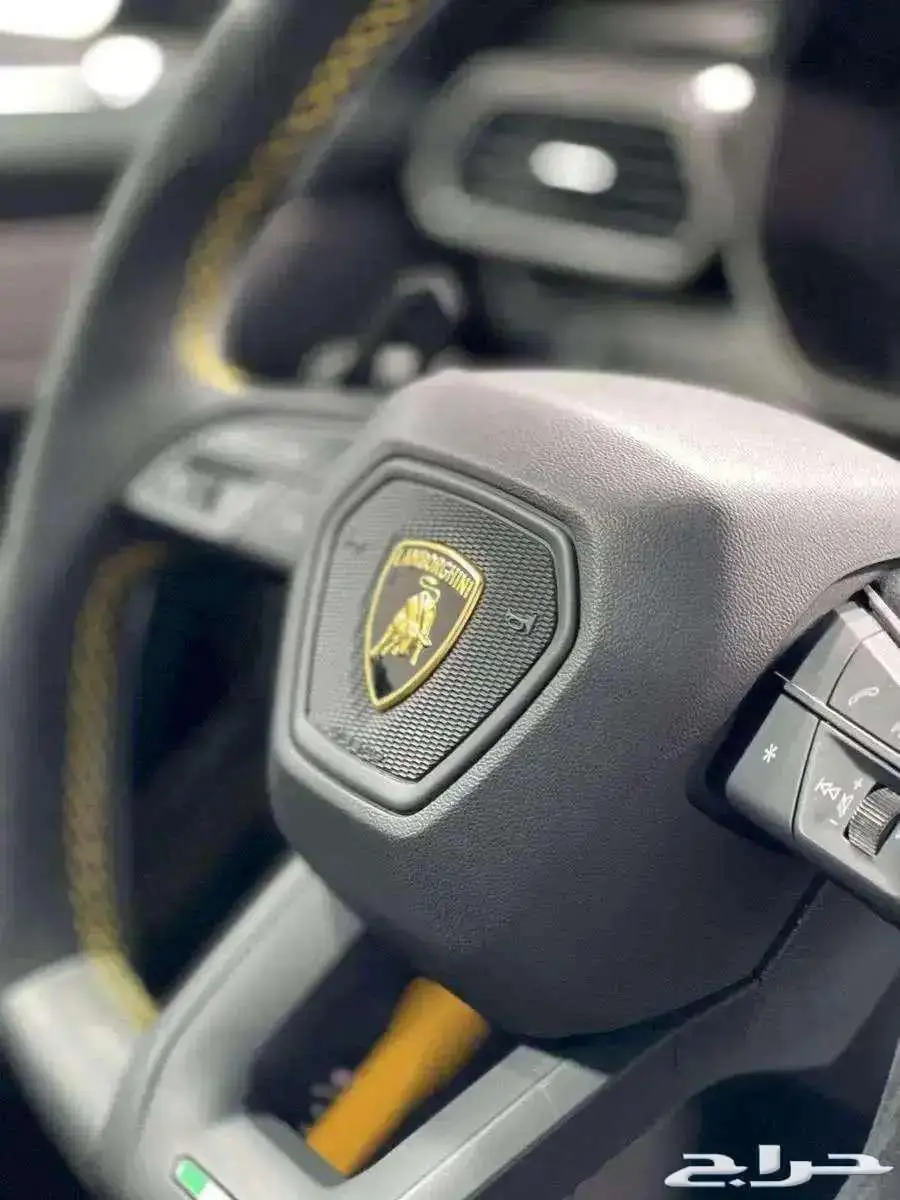 اوروس بيرفورمانتي - 2023 - 9000KM 13