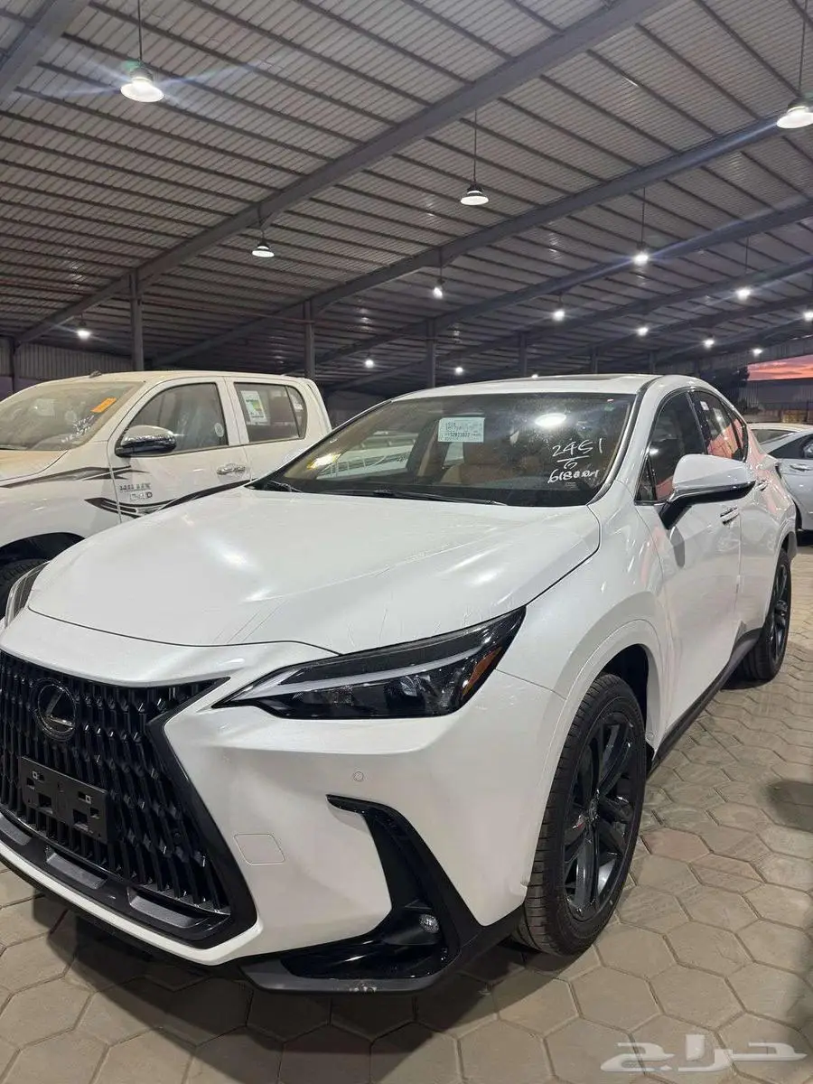 لكزس NX350 AA موديل2025 3