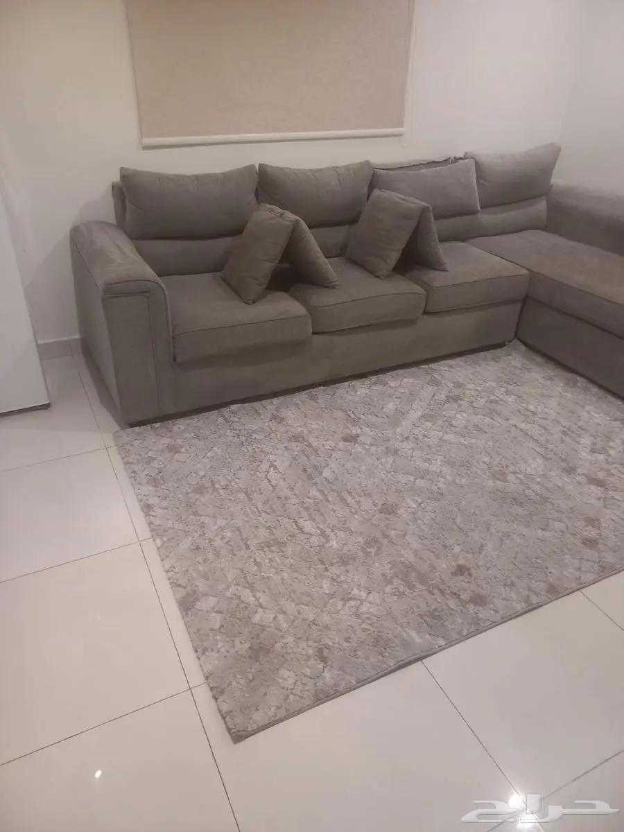 شركه تنظيف شقق فلل كنب مجالس نظافه خزانات مكافحه حشرات 6
