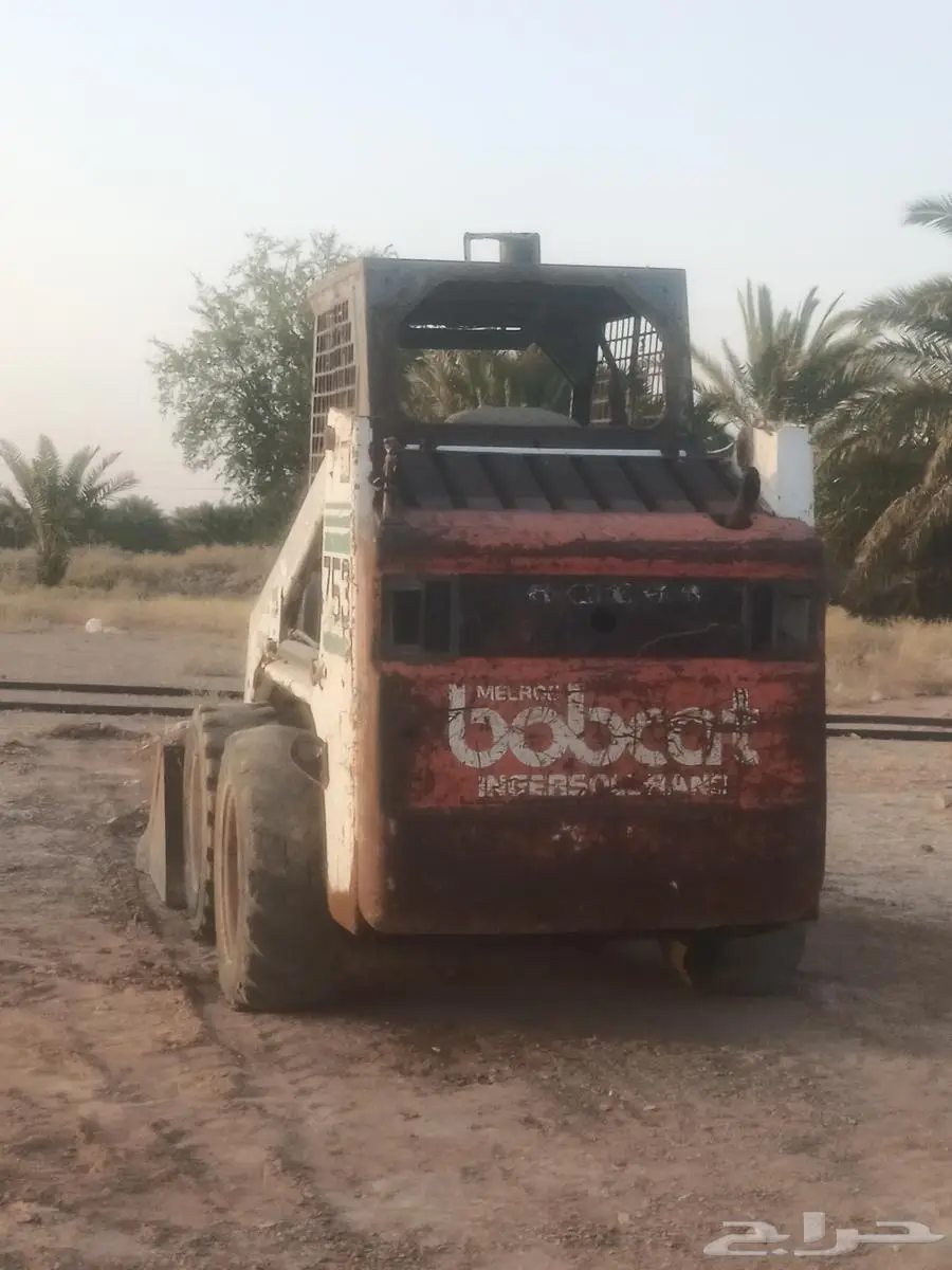 بوبكات حواس شغال على الشرط شيول صغير 0