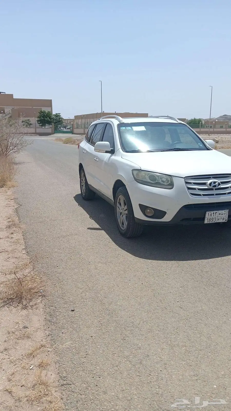 سنتافي 2012 0