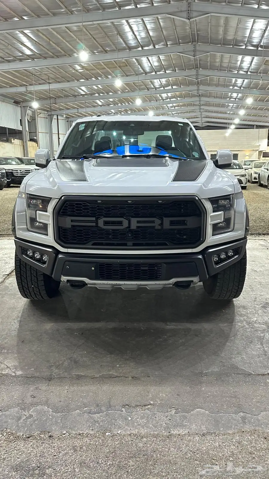 فورد رايتر وراد قطر 2019 6