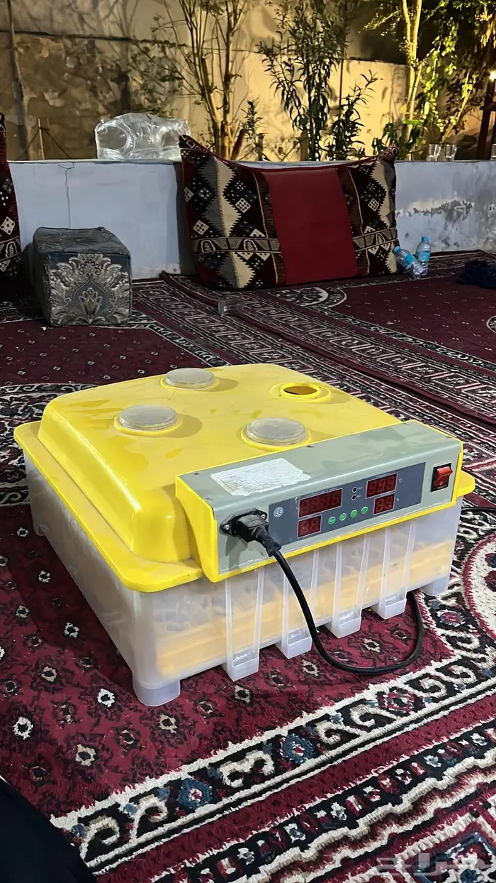 فقاسة اوتوماتيك 0