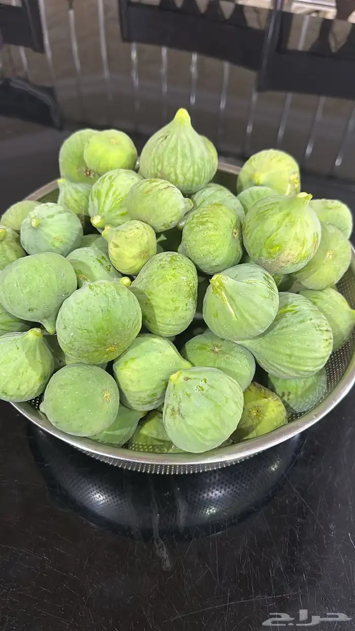 حماط على كيف كيفك موية بير 1