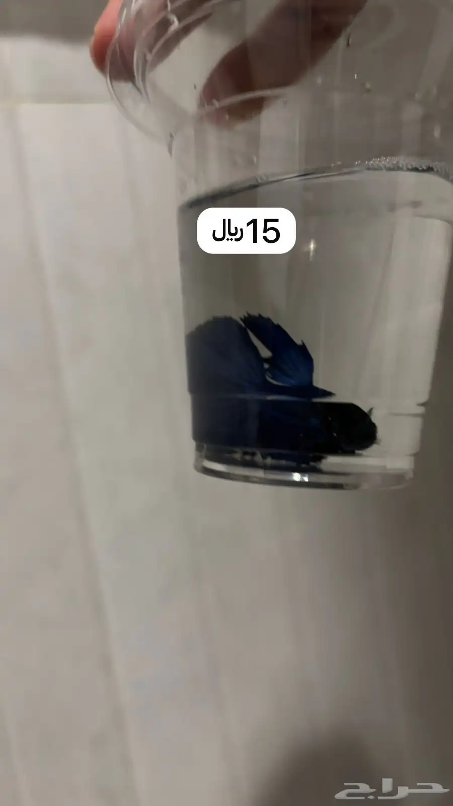 سمك فايتر بكمال ملحقاته 35 13